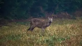 Jesienne Mazury na zdjęciach Staszka Sielewicza - zdjęcie 38