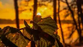 Pierwszy śnieg i wschód słońca nad jeziorem Boczne - zdjęcie 54