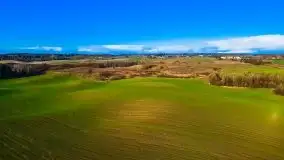 Jesień z lotu ptaka przy jeziorze Tałtowisko i kanale Grunwaldzkim - zdjęcie 7