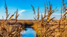 Listopadowe klimaty na bezdrożach Mazur - zdjęcie 16