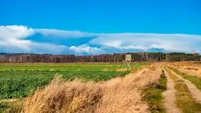 Listopadowe klimaty na bezdrożach Mazur - zdjęcie 15