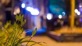 Nocne listopadowe kolory Giżycka - zdjęcie 10