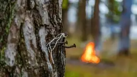 Miał być zachód słońca, a skończyło się na ognisku - zdjęcie 15