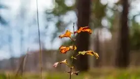 Miał być zachód słońca, a skończyło się na ognisku - zdjęcie 7