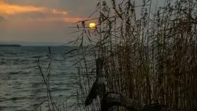 Wschód słońca przy moście Sztynorckim i jeziorze Dargin - zdjęcie 23