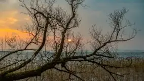 Wschód słońca przy moście Sztynorckim i jeziorze Dargin - zdjęcie 48