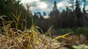 Krutynia i Nowy Mostek w grudniowych zdjęciach - zdjęcie 6