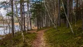 Krutynia i Nowy Mostek w grudniowych zdjęciach - zdjęcie 25