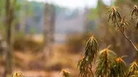 Krutynia i Nowy Mostek w grudniowych zdjęciach - zdjęcie 40