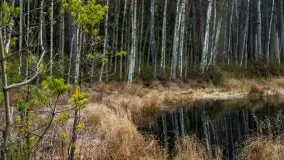 Krutynia i Nowy Mostek w grudniowych zdjęciach - zdjęcie 48