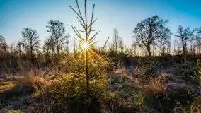 Grudniowe Mazury na zdjęciach Stanisława Sielewicza - zdjęcie 11