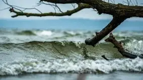 Grudniowe Mazury na zdjęciach Stanisława Sielewicza - zdjęcie 16