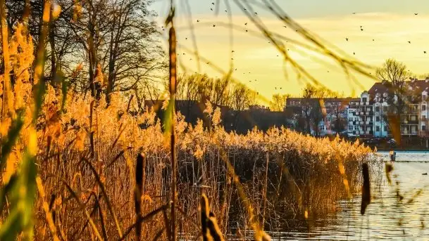 Grudniowy zachód słońca w Kętrzynie, 2020 - zdjęcie 8