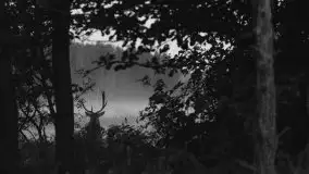 Mazurska flora i fauna na zdjęciach Jana Olchówki 2020 - zdjęcie 10