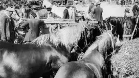 Przedwojenne zdjęcia Węgorzewa (Angerburg) - zdjęcie 168