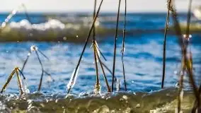 Wietrzne i jesienne jezioro Śniardwy, grudzień 2020 r. - zdjęcie 28