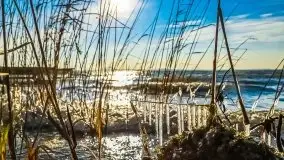 Wietrzne i jesienne jezioro Śniardwy, grudzień 2020 r. - zdjęcie 12