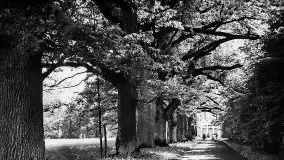 Przedwojenne zdjęcia Sztynortu (Steinort) - zdjęcie 20