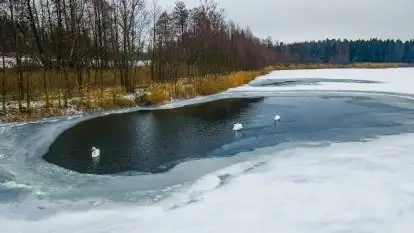 Zimowe i pochmurne kolory Mazur w okolicach Kruklanek