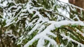 Zimowe i pochmurne kolory Mazur w okolicach Kruklanek - zdjęcie 23