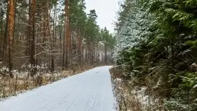 Zimowe i pochmurne kolory Mazur w okolicach Kruklanek - zdjęcie 48