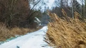 Zimowe i pochmurne kolory Mazur w okolicach Kruklanek - zdjęcie 33