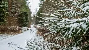 Zimowe i pochmurne kolory Mazur w okolicach Kruklanek - zdjęcie 62