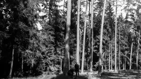 Przedwojenne zdjęcia Pisza (Johannisburg) - zdjęcie 84