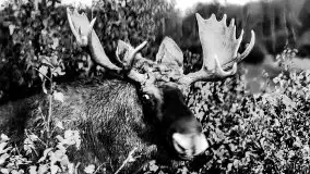 Przedwojenne zdjęcia Pisza (Johannisburg) - zdjęcie 93