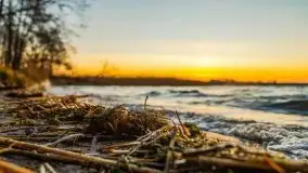 Wschód słońca nad jeziorem Gołdopiwo - zdjęcie 59