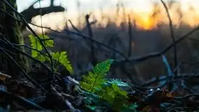 Wschód słońca nad jeziorem Gołdopiwo - zdjęcie 10