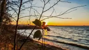 Wschód słońca nad jeziorem Gołdopiwo - zdjęcie 36