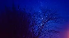 Mglista noc Sylwestrowa w Giżycku - zdjęcie 41