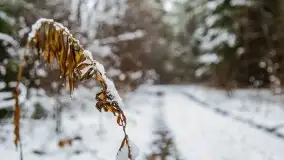 Zimowa szarówka w okolicach Kruklina, Gawlika Małego i Wydmin - zdjęcie 14