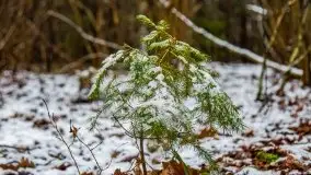 Zimowa szarówka w okolicach Kruklina, Gawlika Małego i Wydmin - zdjęcie 66