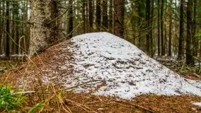 Zimowa szarówka w okolicach Kruklina, Gawlika Małego i Wydmin - zdjęcie 8