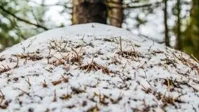 Zimowa szarówka w okolicach Kruklina, Gawlika Małego i Wydmin - zdjęcie 27