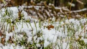 Zimowa szarówka w okolicach Kruklina, Gawlika Małego i Wydmin - zdjęcie 60