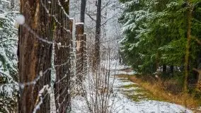 Zimowa szarówka w okolicach Kruklina, Gawlika Małego i Wydmin - zdjęcie 19