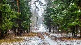 Zimowa szarówka w okolicach Kruklina, Gawlika Małego i Wydmin - zdjęcie 21