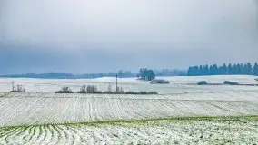 Zimowa szarówka w okolicach Kruklina, Gawlika Małego i Wydmin - zdjęcie 1