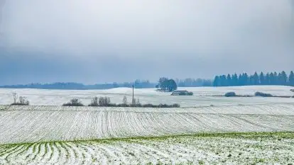 Zimowa szarówka w okolicach Kruklina, Gawlika Małego i Wydmin