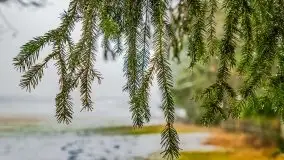 Zimowa szarówka w okolicach Kruklina, Gawlika Małego i Wydmin - zdjęcie 56