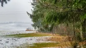 Zimowa szarówka w okolicach Kruklina, Gawlika Małego i Wydmin - zdjęcie 34