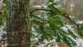 Zimowa szarówka w okolicach Kruklina, Gawlika Małego i Wydmin - zdjęcie 36