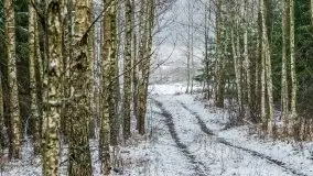 Zimowa szarówka w okolicach Kruklina, Gawlika Małego i Wydmin - zdjęcie 43