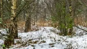 Zimowa szarówka w okolicach Kruklina, Gawlika Małego i Wydmin - zdjęcie 52