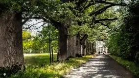 Przedwojenne pokolorowane zdjęcia Sztynortu (Steinort) - zdjęcie 1