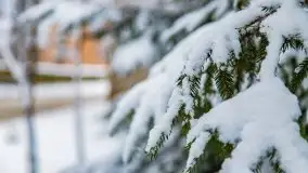 Posypało na Mazurach - zobacz okolice wsi Gajrowskie i Orłowo - zdjęcie 7