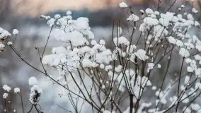 Posypało na Mazurach - zobacz okolice wsi Gajrowskie i Orłowo - zdjęcie 5